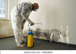 Why You Should Choose Our Mold Remediation Services in Rio Rancho Estates, NM